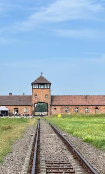 From Krakow: Auschwitz and Wieliczka Salt Mine Full-Day Trip | ®ExcursionMania
