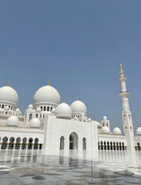 From Dubai: Abu Dhabi City Sightseeing & Sheikh Zayed Mosque | ®ExcursionMania