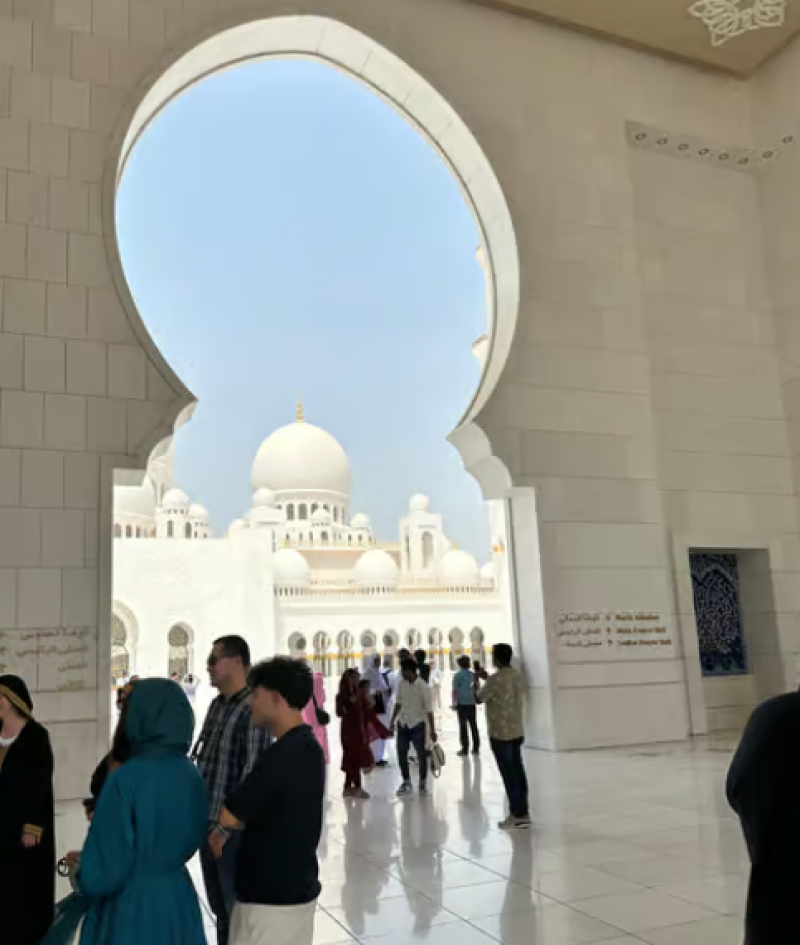 From Dubai: Abu Dhabi City Sightseeing & Sheikh Zayed Mosque | ®ExcursionMania