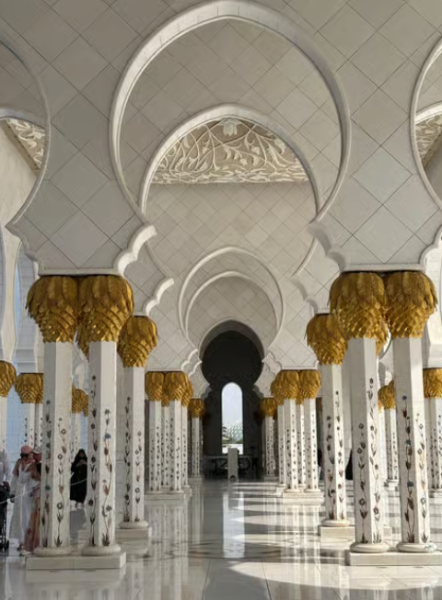 From Dubai: Abu Dhabi City Sightseeing & Sheikh Zayed Mosque | ®ExcursionMania