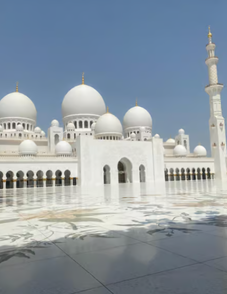 From Dubai: Abu Dhabi City Sightseeing & Sheikh Zayed Mosque | ®ExcursionMania