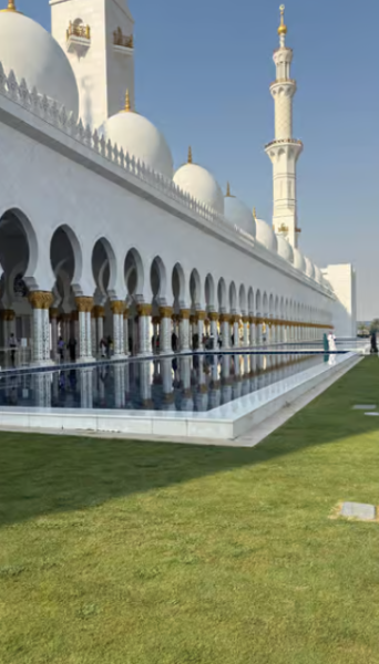 From Dubai: Abu Dhabi City Sightseeing & Sheikh Zayed Mosque | ®ExcursionMania