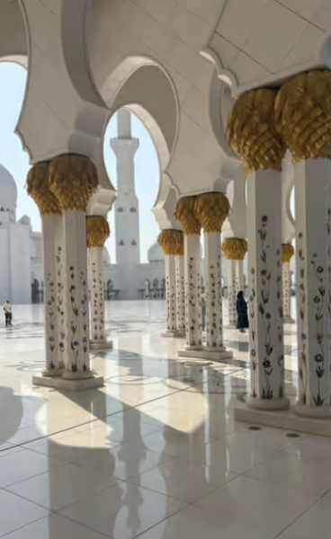 From Dubai: Abu Dhabi City Sightseeing & Sheikh Zayed Mosque | ®ExcursionMania