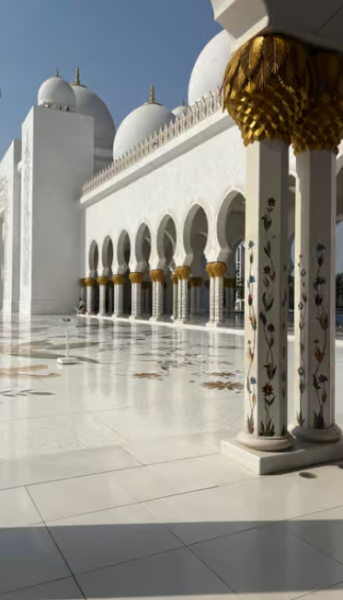 From Dubai: Abu Dhabi City Sightseeing & Sheikh Zayed Mosque | ®ExcursionMania