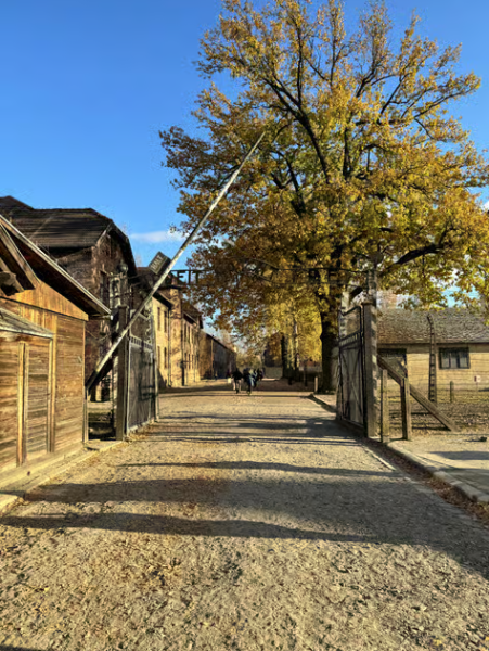 From Krakow: Auschwitz Birkenau Self-Guided Tour | ®ExcursionMania