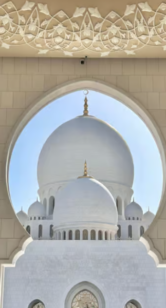 From Dubai: Abu Dhabi Grand Mosque & Louvre Museum Full-Day | ®ExcursionMania