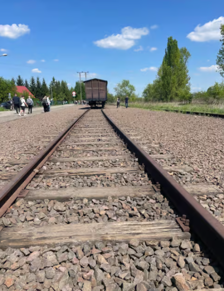 Auschwitz-Birkenau Memorial Tour: A Day of Reflection and History | ®ExcursionMania