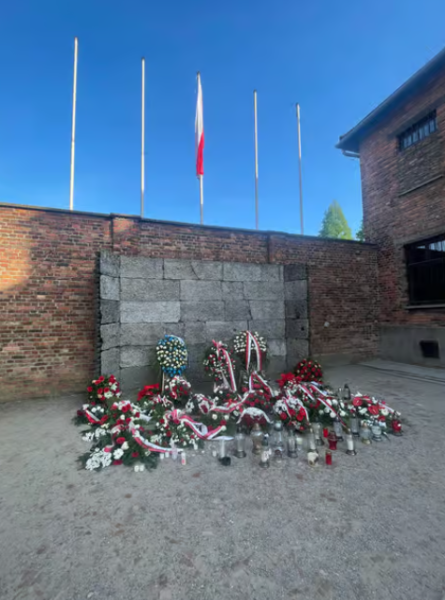 Auschwitz-Birkenau Memorial Tour: A Day of Reflection and History | ®ExcursionMania