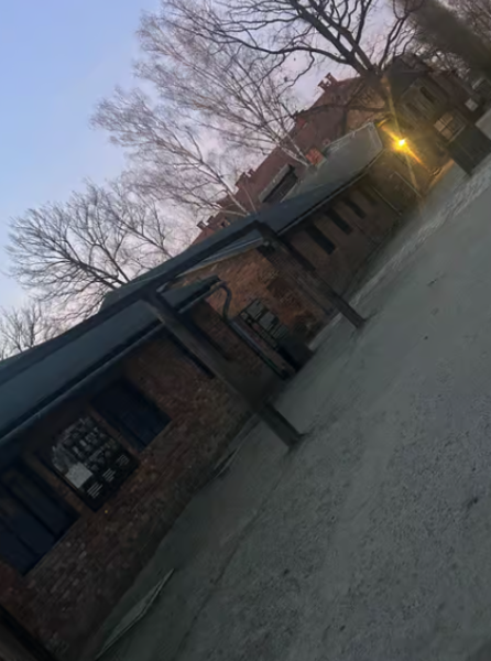 Auschwitz-Birkenau Memorial Tour: A Day of Reflection and History | ®ExcursionMania