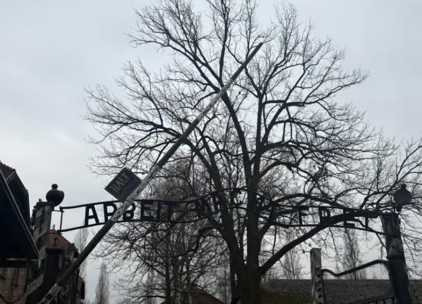 Auschwitz-Birkenau Memorial Tour: A Day of Reflection and History | ®ExcursionMania