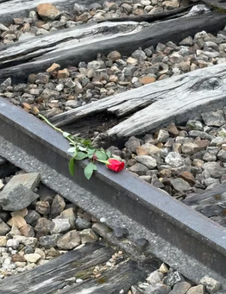 Auschwitz-Birkenau Memorial Tour: A Day of Reflection and History | ®ExcursionMania