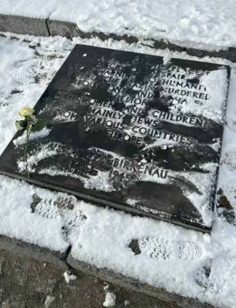 Auschwitz-Birkenau Memorial Tour: A Day of Reflection and History | ®ExcursionMania