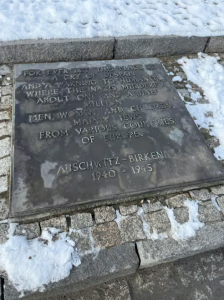 Auschwitz-Birkenau Memorial Tour: A Day of Reflection and History | ®ExcursionMania