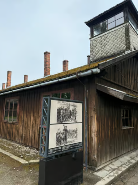 Auschwitz & Wieliczka Salt Mine: A Full Day of History and Reflection | ®ExcursionMania