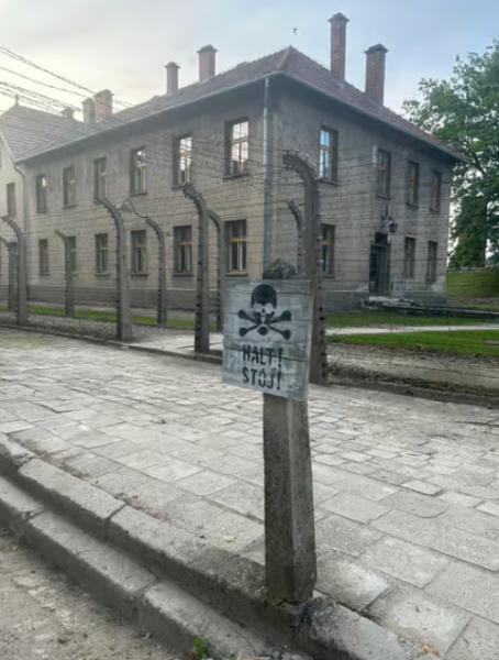 Auschwitz & Wieliczka Salt Mine: A Full Day of History and Reflection | ®ExcursionMania