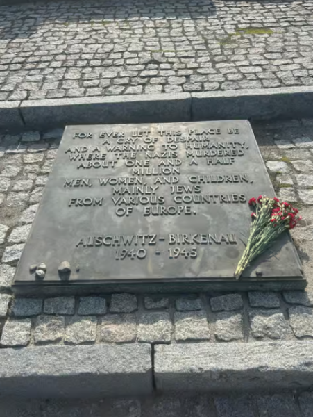 Auschwitz & Wieliczka Salt Mine: A Full Day of History and Reflection | ®ExcursionMania