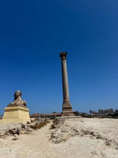 From Cairo Alexandria Catacombs Citadel Day Trip with Lunch | ®ExcursionMania