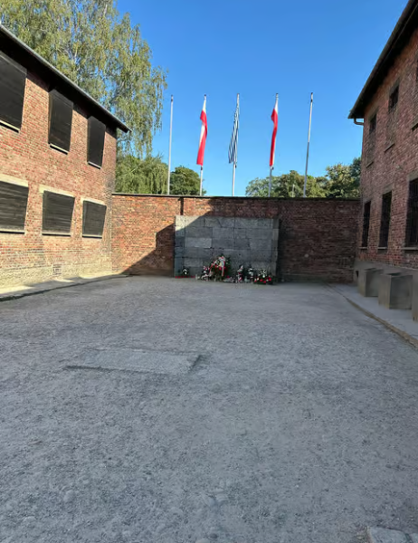 Auschwitz-Birkenau: Skip-the-Line Guided Tour from Krakow | ®ExcursionMania