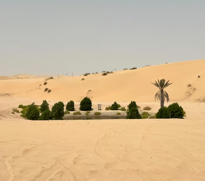 Abu Dhabi : Abu Dhabi: Morning Desert Tour Camel Ride & Sandboarding | ®ExcursionMania