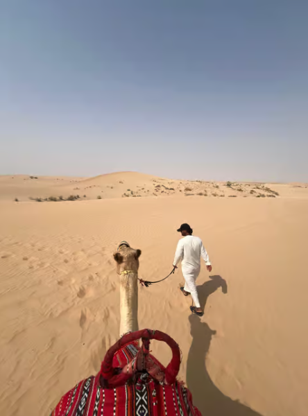 Abu Dhabi: Morning Desert Tour Camel Ride & Sandboarding | ®ExcursionMania