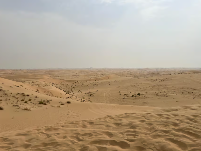 Abu Dhabi: Morning Desert Tour Camel Ride & Sandboarding | ®ExcursionMania