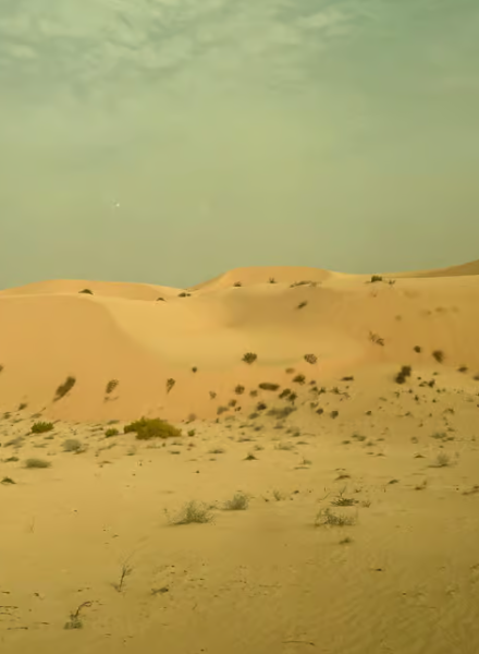 Abu Dhabi: Morning Desert Tour Camel Ride & Sandboarding | ®ExcursionMania