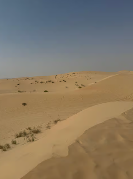Abu Dhabi: Morning Desert Tour Camel Ride & Sandboarding | ®ExcursionMania
