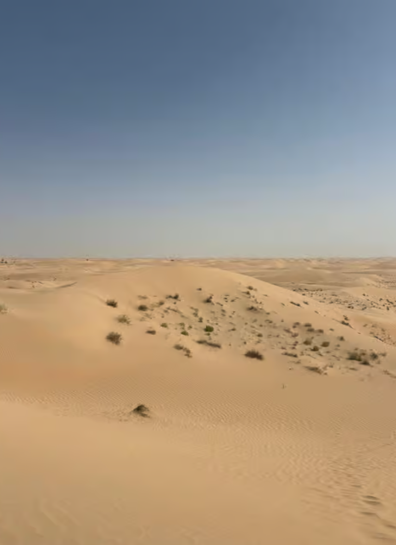 Abu Dhabi: Morning Desert Tour Camel Ride & Sandboarding | ®ExcursionMania