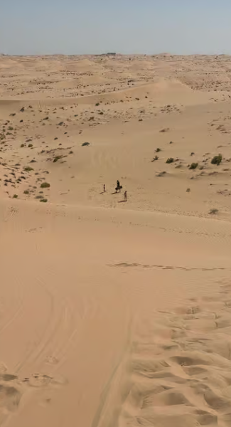 Abu Dhabi: Morning Desert Tour Camel Ride & Sandboarding | ®ExcursionMania