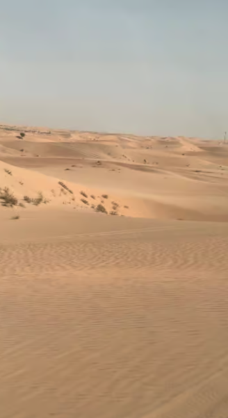 Abu Dhabi: Morning Desert Tour Camel Ride & Sandboarding | ®ExcursionMania