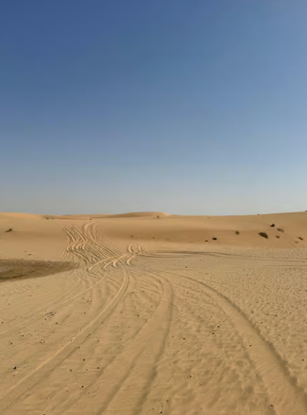 Abu Dhabi: Morning Desert Tour Camel Ride & Sandboarding | ®ExcursionMania