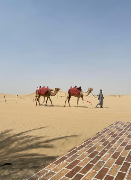 Abu Dhabi: Morning Desert Tour Camel Ride & Sandboarding | ®ExcursionMania