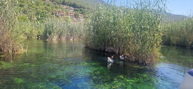 Marmaris: Yuvarlakçay & Akyaka River Cruise with Lunch | ®ExcursionMania