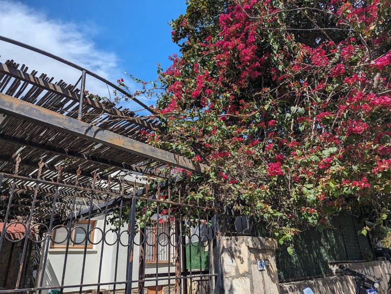 Marmaris: Yuvarlakçay & Akyaka River Cruise with Lunch | ®ExcursionMania