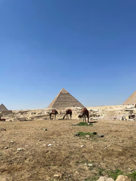 Museum of Egyptian Civilization Citadel & Old Cairo Tour | ®ExcursionMania