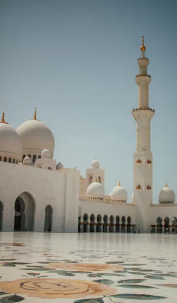 From Abu Dhabi: City Sightseeing and Sheikh Zayed Mosque | ®ExcursionMania