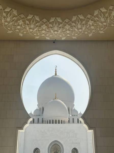 From Abu Dhabi: City Sightseeing and Sheikh Zayed Mosque | ®ExcursionMania
