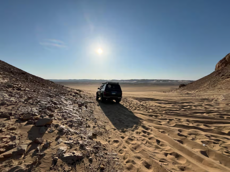 Cairo: 2-Day Bahariya Oasis Camp and Desert Tour | ®ExcursionMania