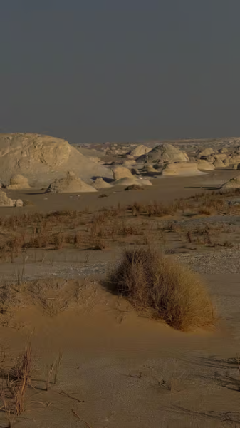 Cairo: 2-Day Bahariya Oasis Camp and Desert Tour | ®ExcursionMania