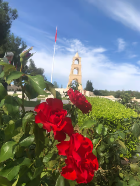 2-Day Gallipoli & Troy Tour from Istanbul with Hotel Accommodation | ®ExcursionMania