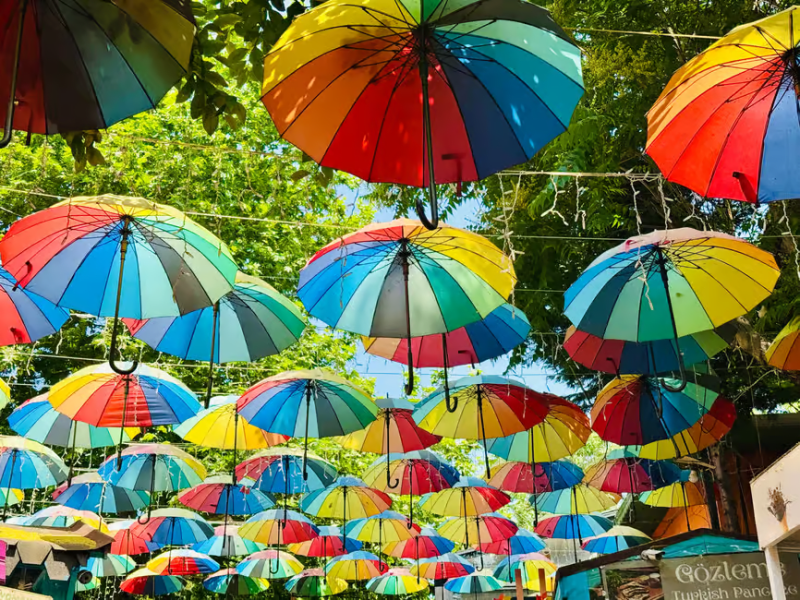 Istanbul: Fener Balat Half-day Guided Walking Tour | ®ExcursionMania
