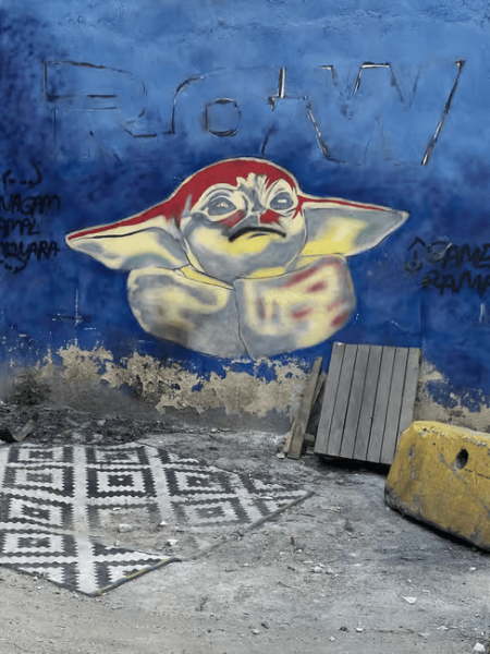 Istanbul: Fener Balat Half-day Guided Walking Tour | ®ExcursionMania