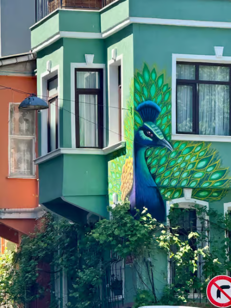 Istanbul: Fener Balat Half-day Guided Walking Tour | ®ExcursionMania