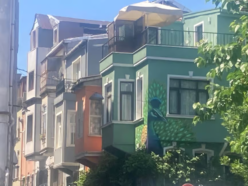 Istanbul: Fener Balat Half-day Guided Walking Tour | ®ExcursionMania