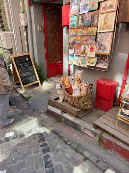 Istanbul: Fener Balat Half-day Guided Walking Tour | ®ExcursionMania