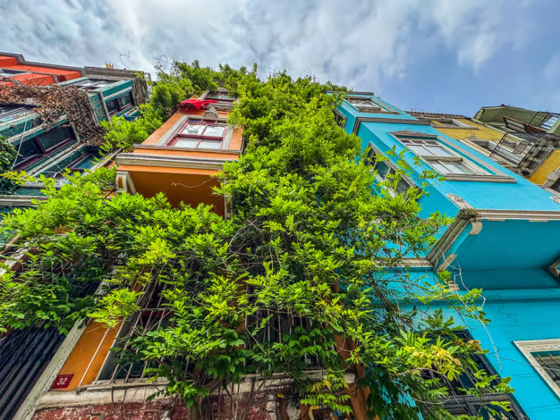 Istanbul: Fener Balat Half-day Guided Walking Tour | ®ExcursionMania