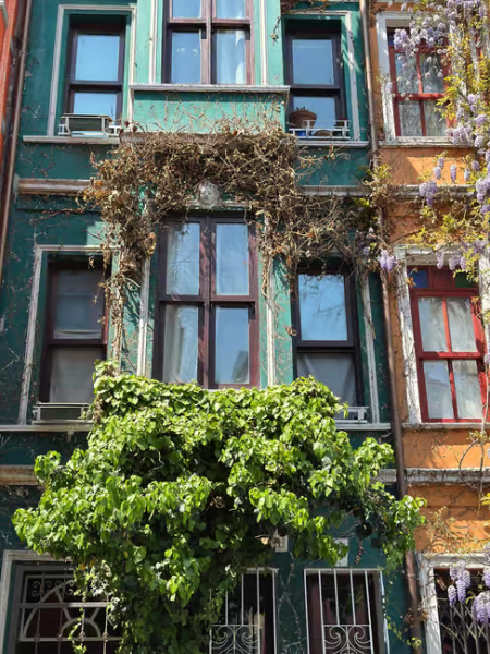 Istanbul: Fener Balat Half-day Guided Walking Tour | ®ExcursionMania
