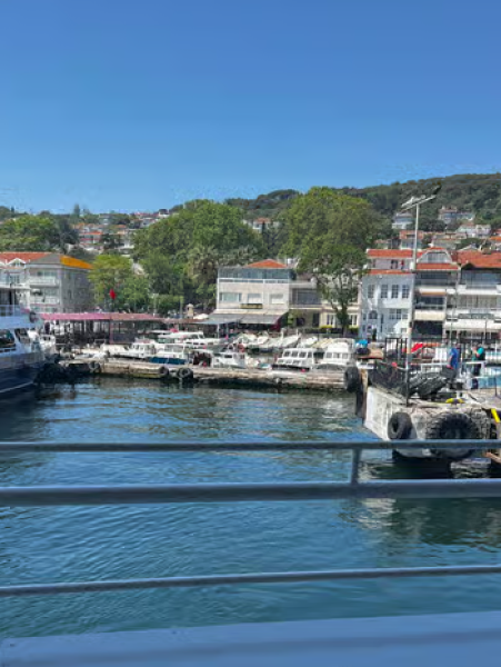 Istanbul: Round-Trip Ferry Tickets to the Princes' Islands | ®ExcursionMania