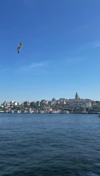 Istanbul: Round-Trip Ferry Tickets to the Princes' Islands | ®ExcursionMania