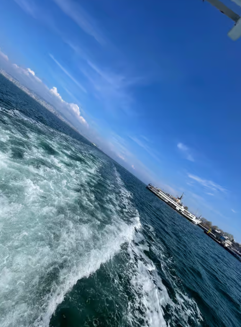 Istanbul: Round-Trip Ferry Tickets to the Princes' Islands | ®ExcursionMania